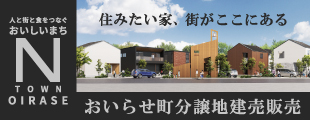 住みたい家、街がここにある 人と街と食をつなぐおいしいまち N TOWN OIRASE おいらせ町分譲地建売販売